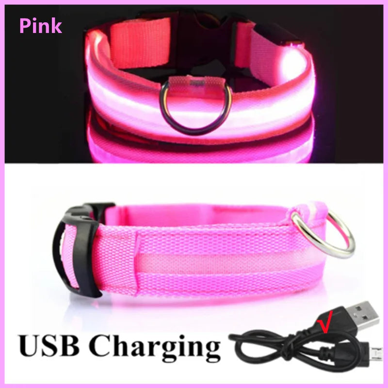 LED Glowing Dog Collar – Adjustable, Rechargeable, and Weather-Resistant