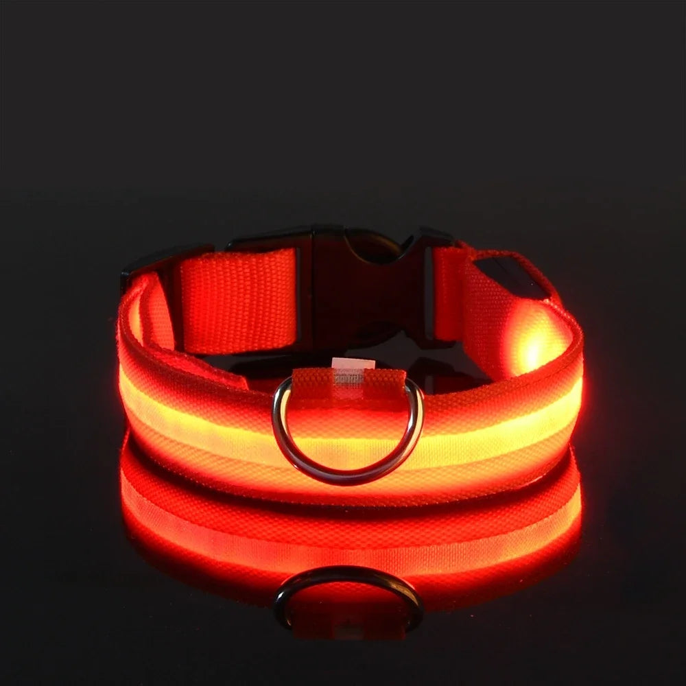 LED Glowing Dog Collar – Adjustable, Rechargeable, and Weather-Resistant