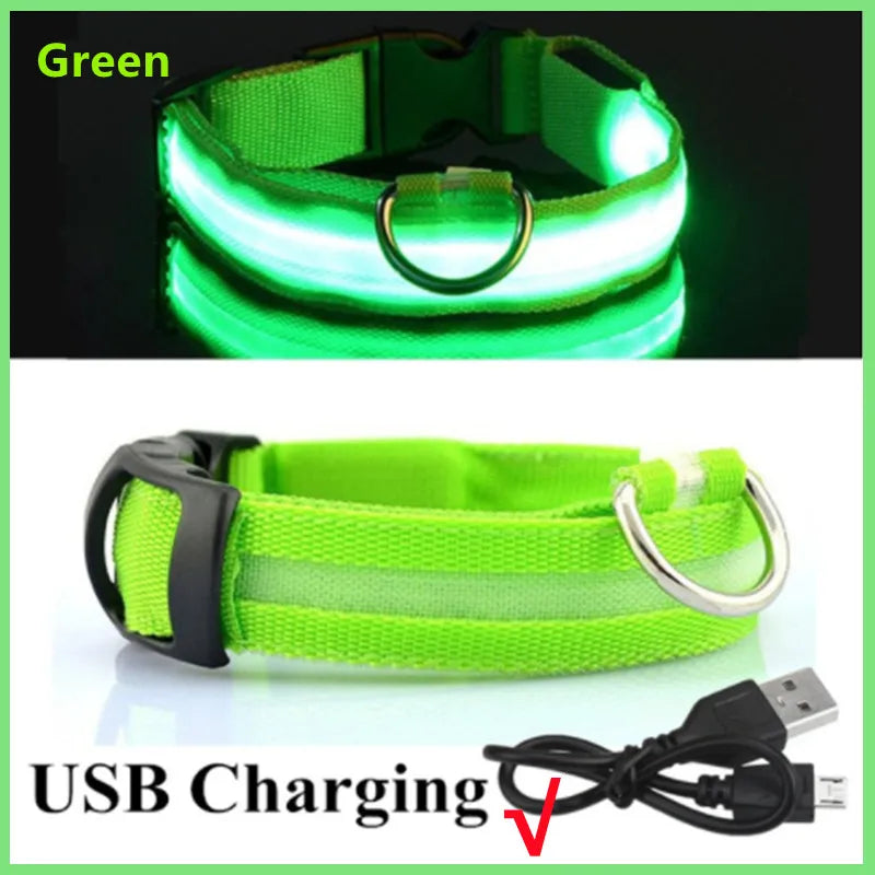 LED Glowing Dog Collar – Adjustable, Rechargeable, and Weather-Resistant