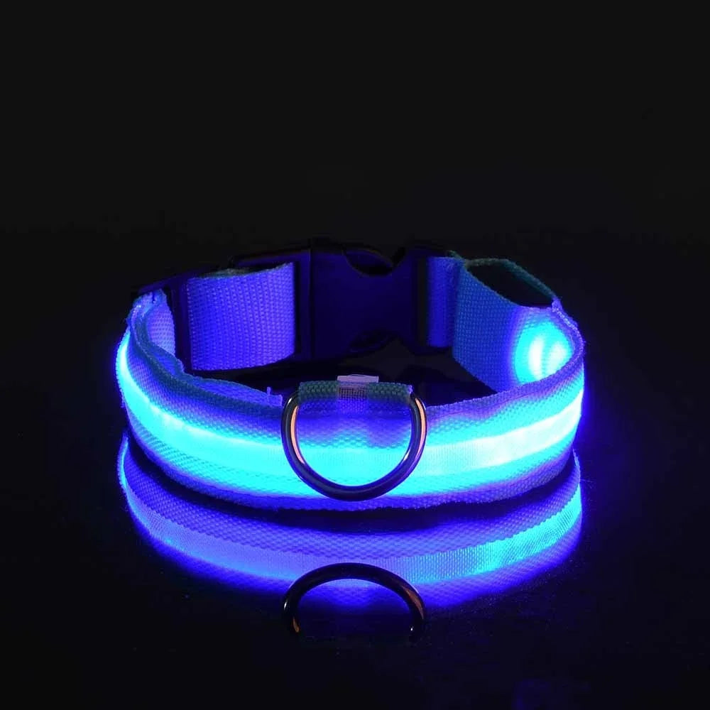 LED Glowing Dog Collar – Adjustable, Rechargeable, and Weather-Resistant