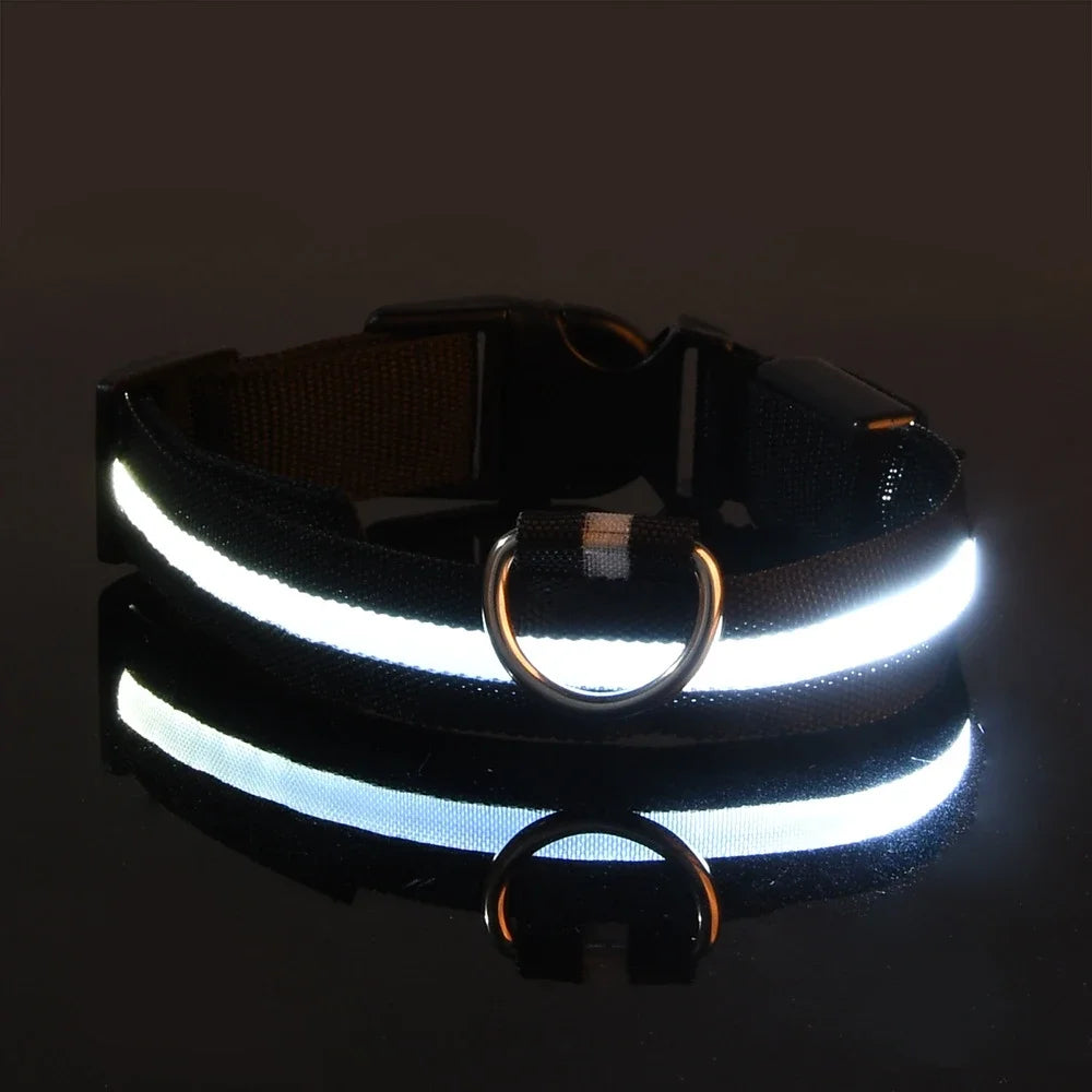 LED Glowing Dog Collar – Adjustable, Rechargeable, and Weather-Resistant