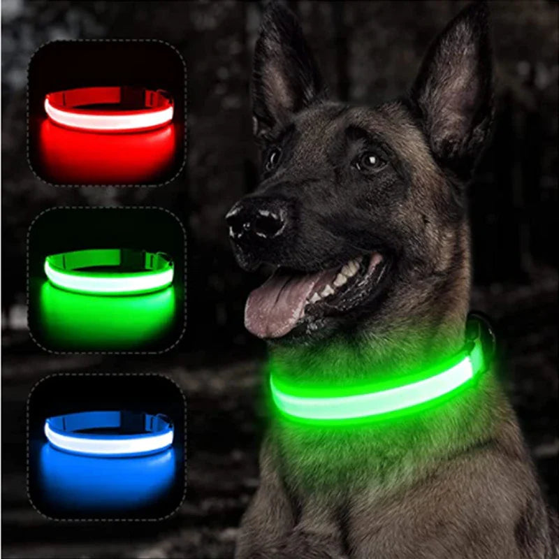 LED Glowing Dog Collar – Adjustable, Rechargeable, and Weather-Resistant