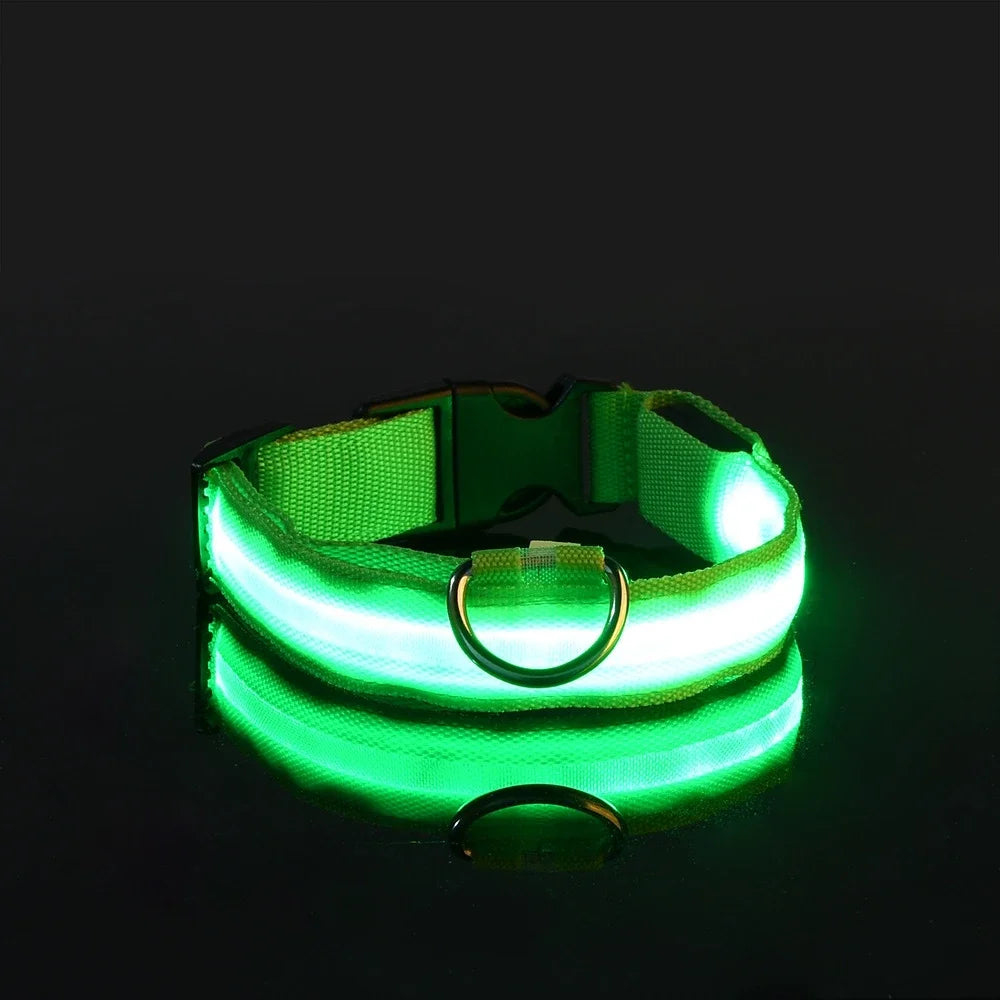 LED Glowing Dog Collar – Adjustable, Rechargeable, and Weather-Resistant