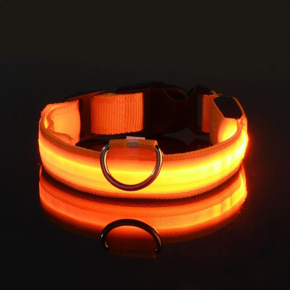 LED Glowing Dog Collar – Adjustable, Rechargeable, and Weather-Resistant