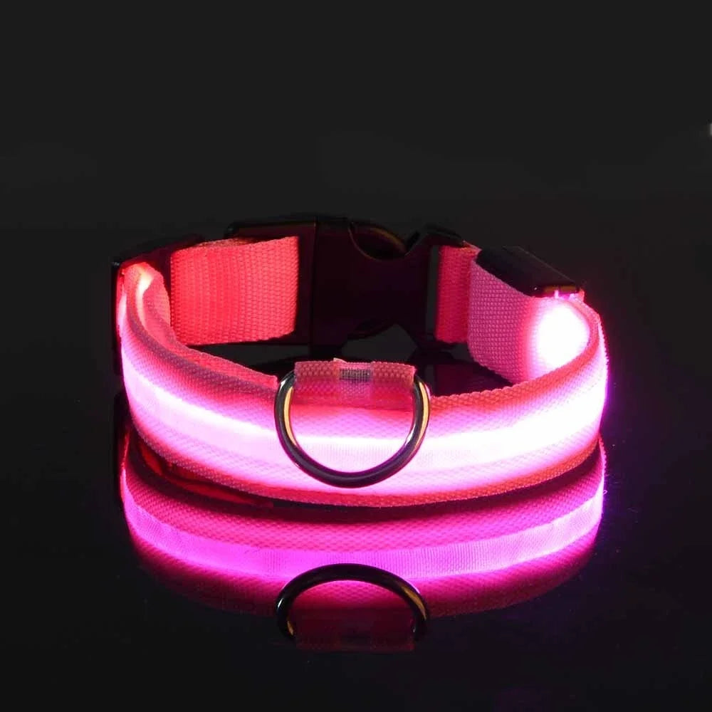 LED Glowing Dog Collar – Adjustable, Rechargeable, and Weather-Resistant