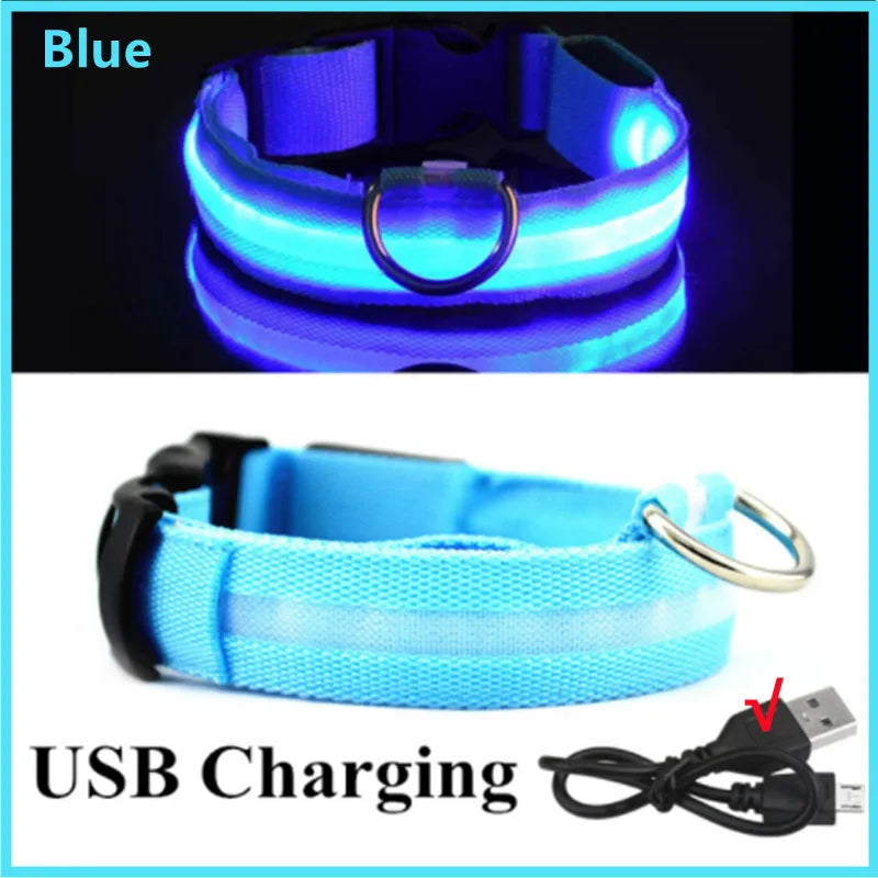 LED Glowing Dog Collar – Adjustable, Rechargeable, and Weather-Resistant