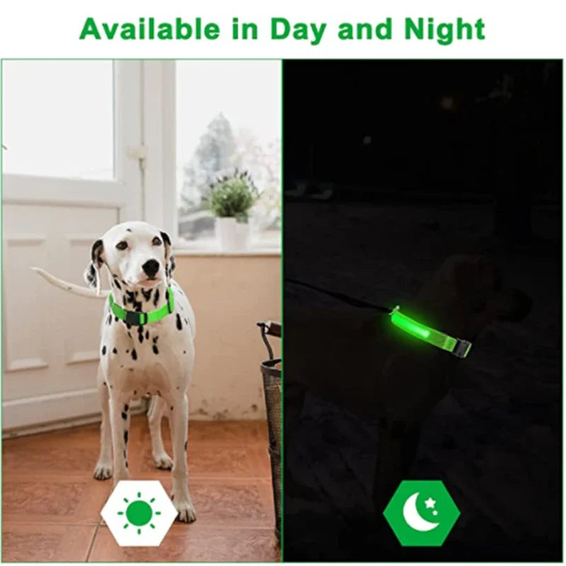 LED Glowing Dog Collar – Adjustable, Rechargeable, and Weather-Resistant