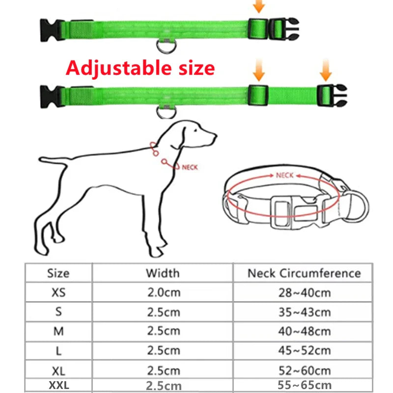 LED Glowing Dog Collar – Adjustable, Rechargeable, and Weather-Resistant