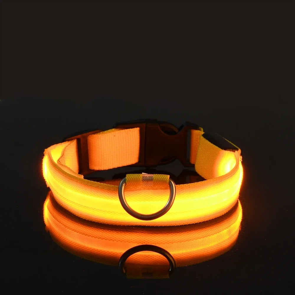 LED Glowing Dog Collar – Adjustable, Rechargeable, and Weather-Resistant